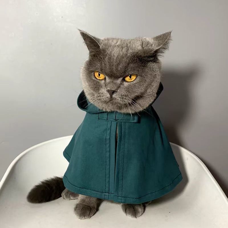 Dog Cloak Cat Cloak Anime Hall - Attack Titan Cloak recension och pris